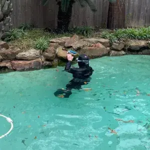 Scuba diver performing underwater leak inspection in a green algae-affected residential pool